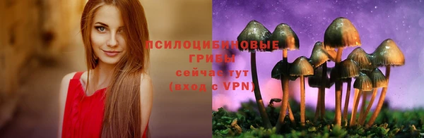 соль курить ск Верея