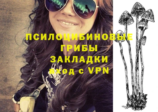 ПСИЛОЦИБИНОВЫЕ ГРИБЫ Бронницы