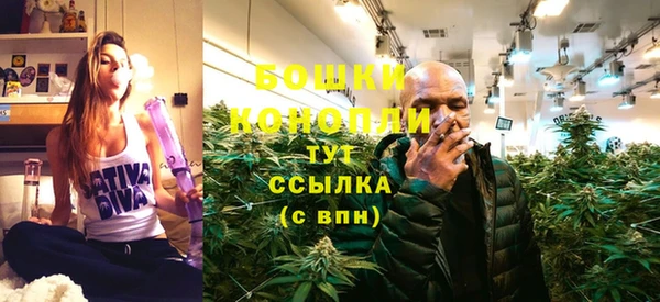 PSILOCYBIN Бородино