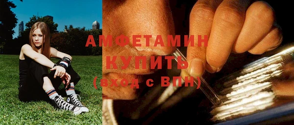 PSILOCYBIN Бородино