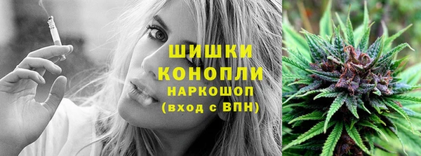 PSILOCYBIN Бородино