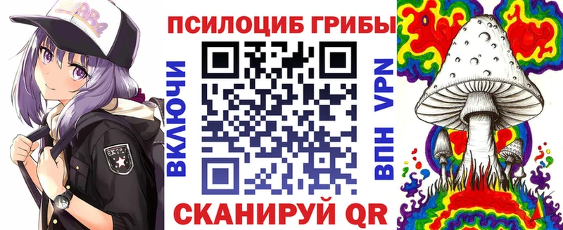 блэк спрут как зайти  Губкинский  Псилоцибиновые грибы MAGIC MUSHROOMS 